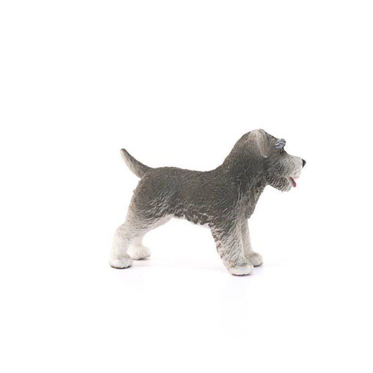 MINIATURE SCHNAUZER