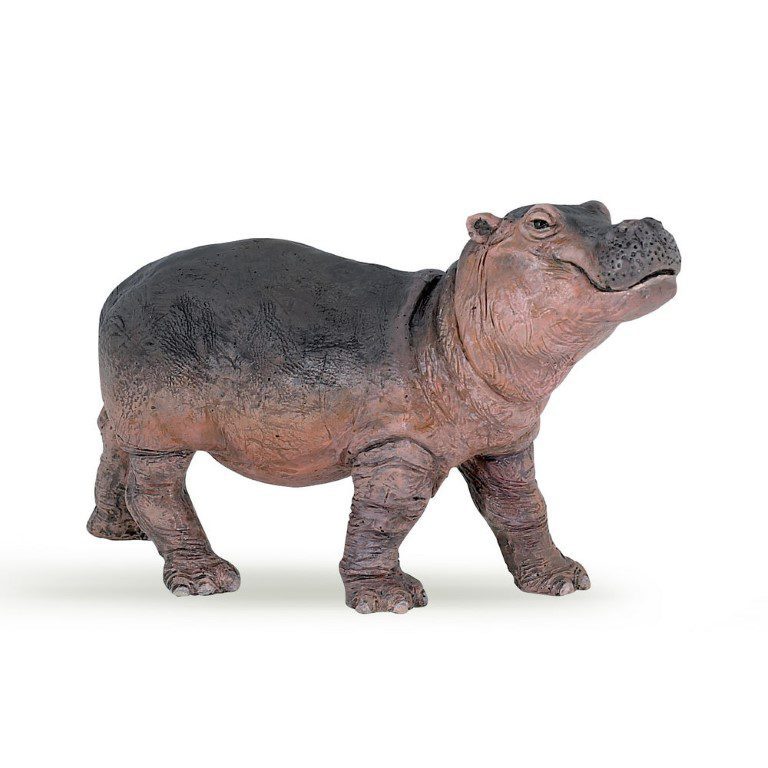 HIPPOPOTAMUS CALF