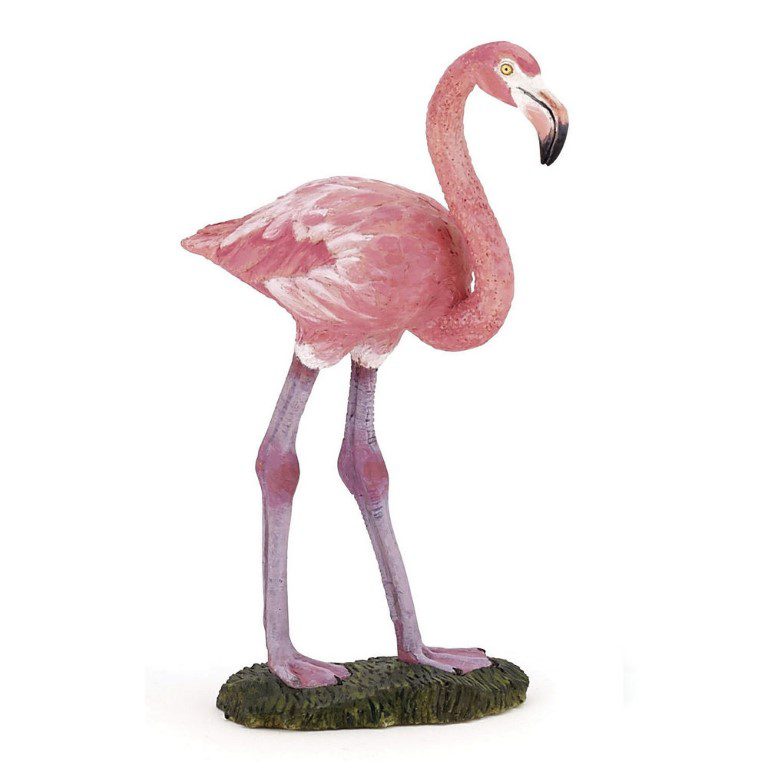 ΦΛΑΜΙΝΓΚΟ-GREATER FLAMINGO