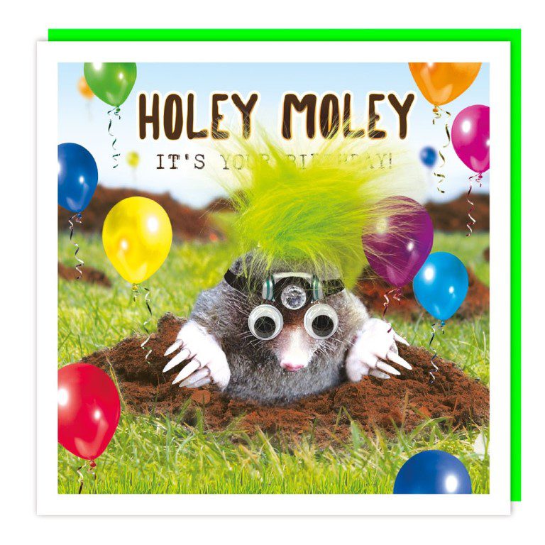 ΕΥΧΕΤΗΡΙΑ ΤΕΤΡΑΓΩΝΗ ΚΑΡΤΑ HOLEY MOLEY HAPPY BIRTHDAY ΜΕ ΠΡΑΣΙΝΑ ΜΑΛΛΙΑ