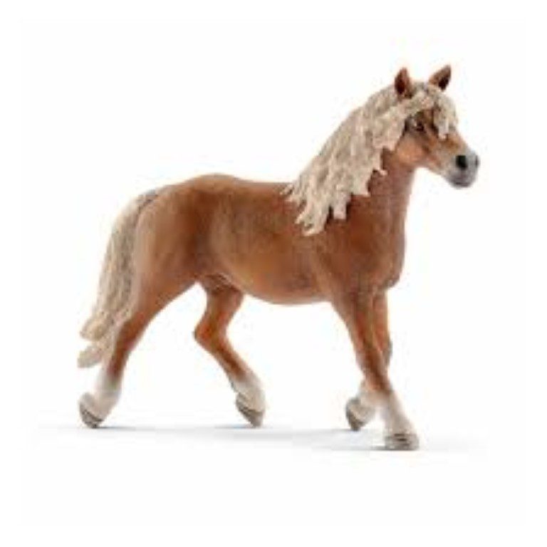 HAFLINKER ΕΠΙΒΗΤΩΡ SCHLEICH