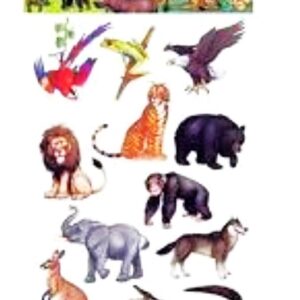 ΜΕΓΑΛΑ ΑΥΤΟΚΟΛΛΗΤΑ ANIMAL WALL STICKERS ΑΦΡΙΚΗ KM-86602