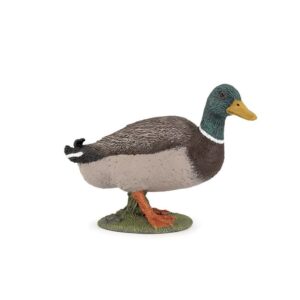 MALLARD DUCK(ΠΑΠΙΑ)-PAPO