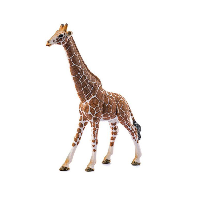 KAMΗΛΟΠΑΡΔΑΛΗ ΑΡΣΕΝΙΚΗ-Giraffe,  male 14749